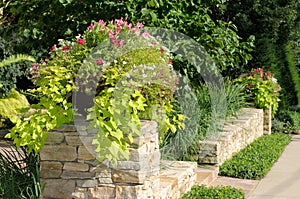 Planter on Stone Wall