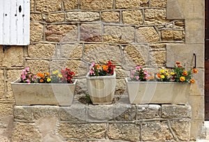 Planters with colourful flowers