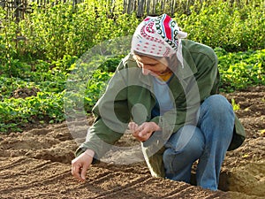 Planting