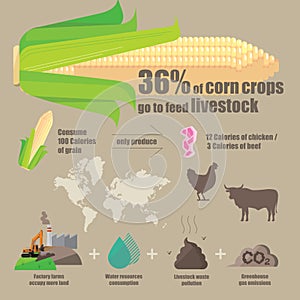 Planting crops used to feed livestock