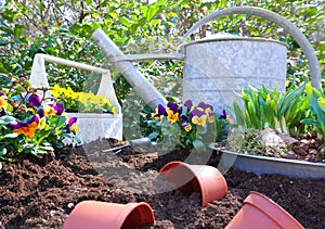 Planting a flower garden outside with watering can on the table Stylish decoration. Urban garden nice and green fresh start of the
