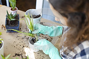 Planting flowers