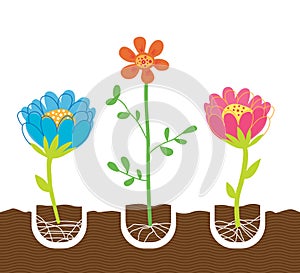 Planting Flowers