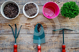 Planting flowers. Gardening tools and pots with soil on wooden background top view