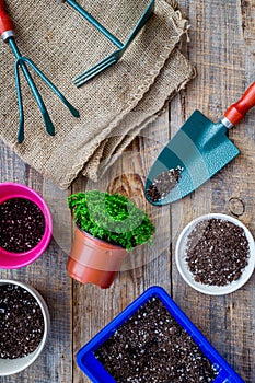 Planting flowers. Gardening tools and pots with soil on wooden background top view