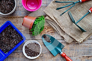 Planting flowers. Gardening tools and pots with soil on wooden background top view