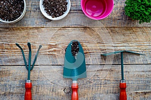 Planting flowers. Gardening tools and pots with soil on wooden background top view