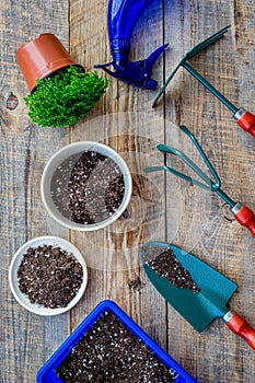 Planting flowers. Gardening tools and pots with soil on wooden background top view