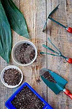 Planting flowers. Gardening tools and pots with soil on wooden background top view