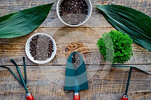 Planting flowers. Gardening tools and pots with soil on wooden background top view