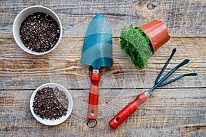 Planting flowers. Gardening tools and pots with soil on wooden background top view