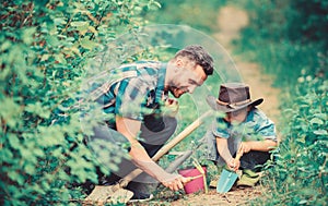Planting flowers. Little helper in garden. Farm family. Little boy and father in nature background. Gardening tools
