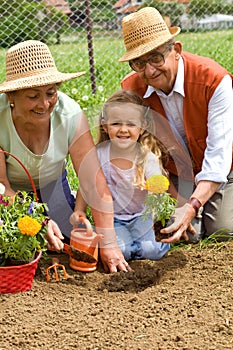 Planting flowers together