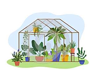 Planting greenhouse. Glass garden glass house, flowers and potted plants. Vector illustration of hobby gardening