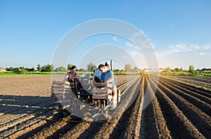 Planting machine operators plant potatoes. Automation of the process of planting potato seeds. High efficiency and speed.