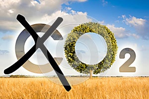 Planting more trees reduce CO2 - reduction of the amount of CO2 emissions - concept with removing letter C from CO2 to get oxygen photo