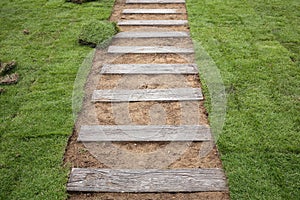 Planting new sod grass in the garden