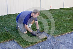 Planting New Sod Grass Yardwork