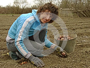 Planting potato