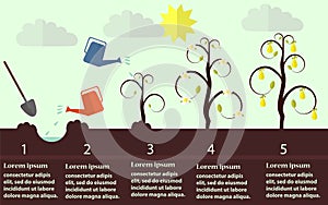 Planting process