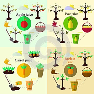 Planting process set and juice flat vector, set