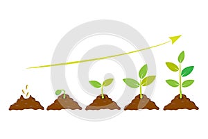 Planting seed sprout in ground. Infographic sequence grow sapling. Seedling gardening tree. Icon, flat isolated on white backgroun