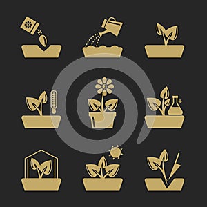 Planting and seeding ground signs. Plants seeds, greenhouse flowers vector icons