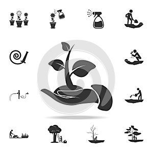 planting of seeds icon. Detailed set of garden tools and agriculture icons. Premium quality graphic design. One of the collection