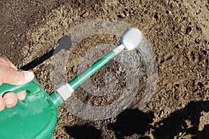 Planting seeds of the spinach