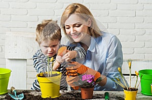 Planting together. Mother and son planting flowers. Family relationships. Care for plants. Gardening.