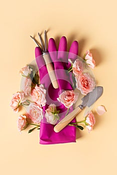 Planting tools set, pink gloves, rose flaowers, shovel and rake flat lay on yellow background