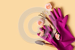 Planting tools set, pink gloves, rose flaowers, shovel and rake flat lay on yellow background