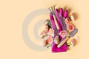 Planting tools set, pink gloves, rose flaowers, shovel and rake flat lay on yellow background