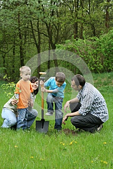 Planting a tree