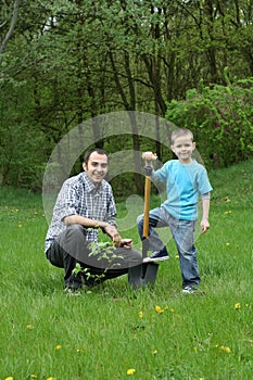 Planting a tree