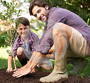 Planting a tree with Dad. a little boy and his dad planting a tree in their garden.