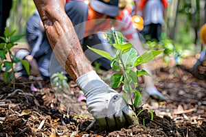 Planting a tree in the garden. The concept of protecting the environment. Ai Generated