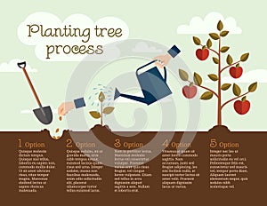 Planting tree process, business concept