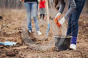 Planting trees