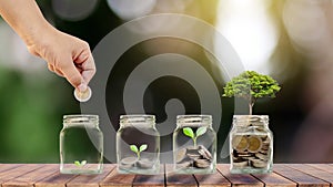 Planting trees in clear bottles to save money on wooden table and blurred green background.