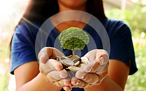 Planting trees on gold coins in people `s hands