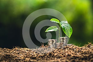 Planting trees growth passion fruit and hand Watering in nature Light and background