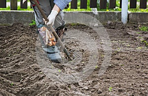 Planting vegetable beds with rake