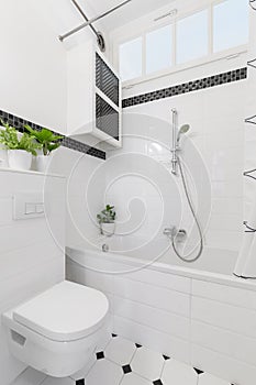 Plants above toilet in white and black bathroom interior with ca