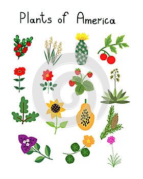 Plants of America