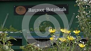 Plants At Bareroot Botanicals