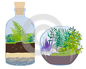 Plants in bottles - Terrariums with tree