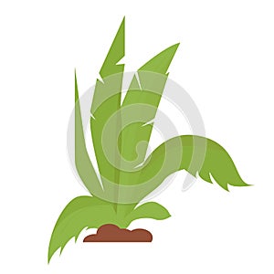 Plants, bushes, grass in flat style isolated