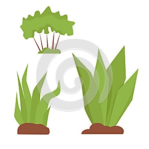 Plants, bushes, grass in flat style isolated