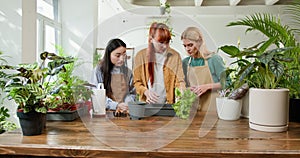 Plants business, start up. In a bright, airy greenhouse, a multicultural team of female gardeners care for indoor plants